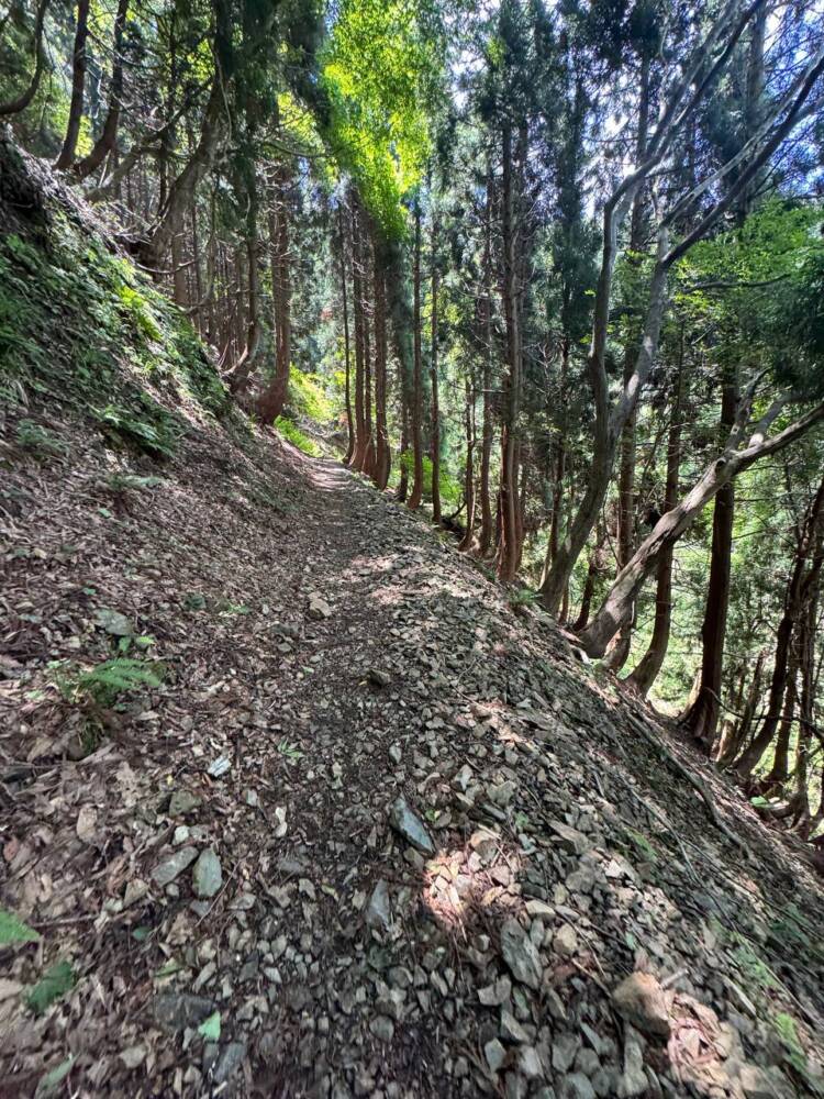 つるが富士とも呼ばれる古代より美しい山容の山『野坂岳』
