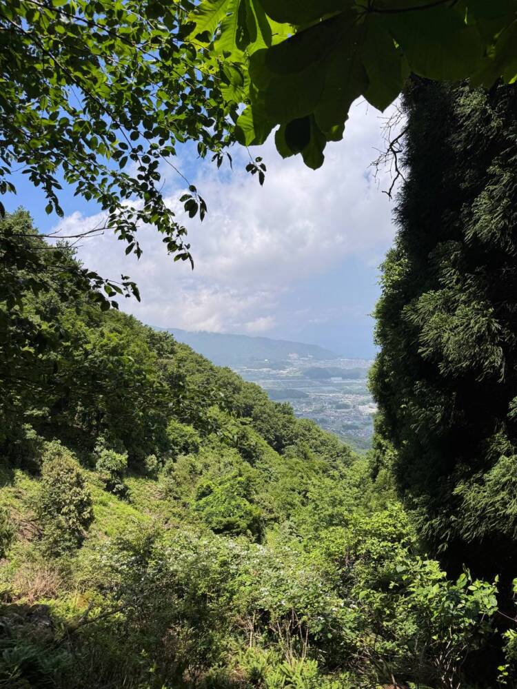 つるが富士とも呼ばれる古代より美しい山容の山『野坂岳』