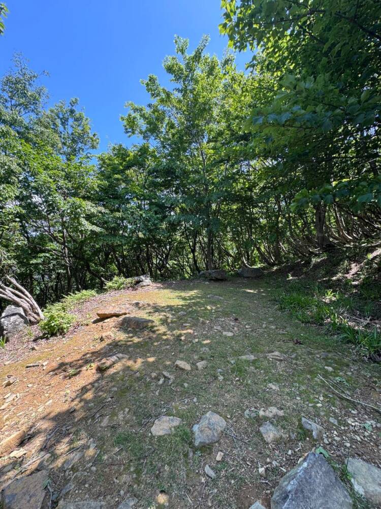 つるが富士とも呼ばれる古代より美しい山容の山『野坂岳』
