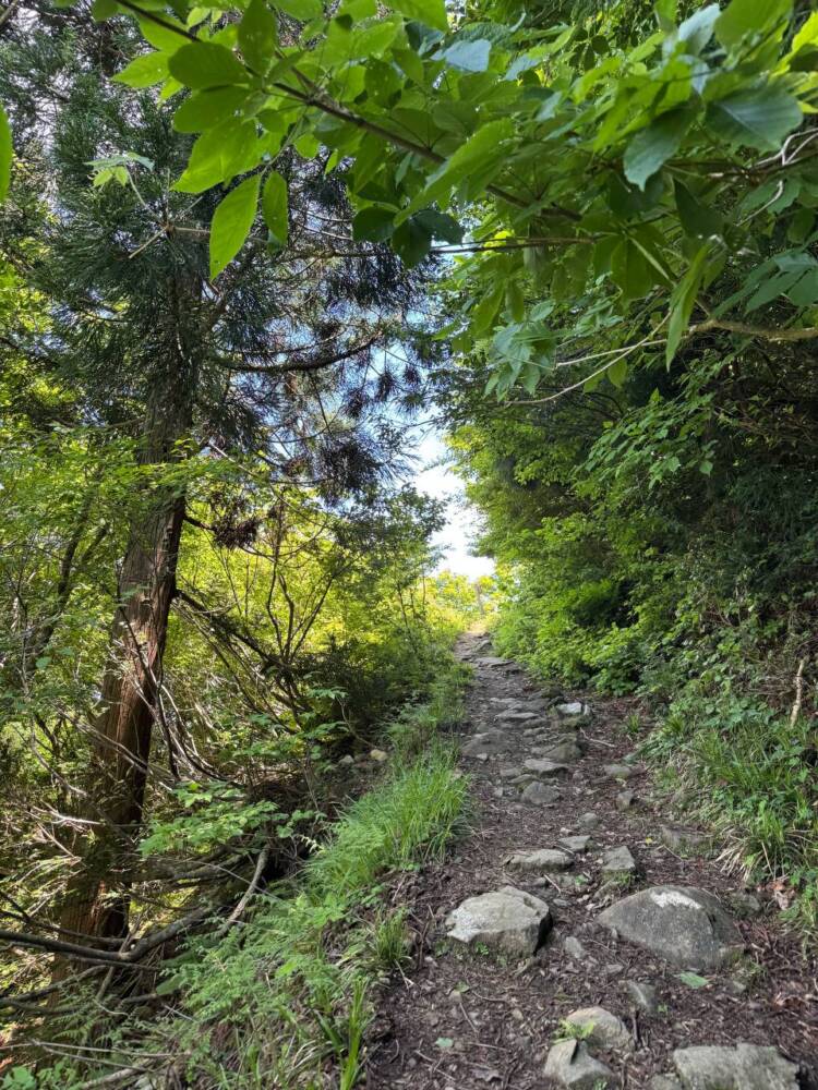 つるが富士とも呼ばれる古代より美しい山容の山『野坂岳』