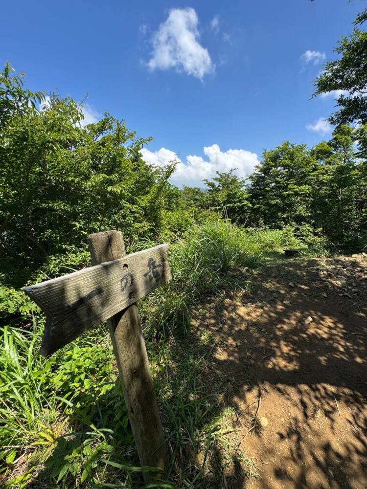 つるが富士とも呼ばれる古代より美しい山容の山『野坂岳』