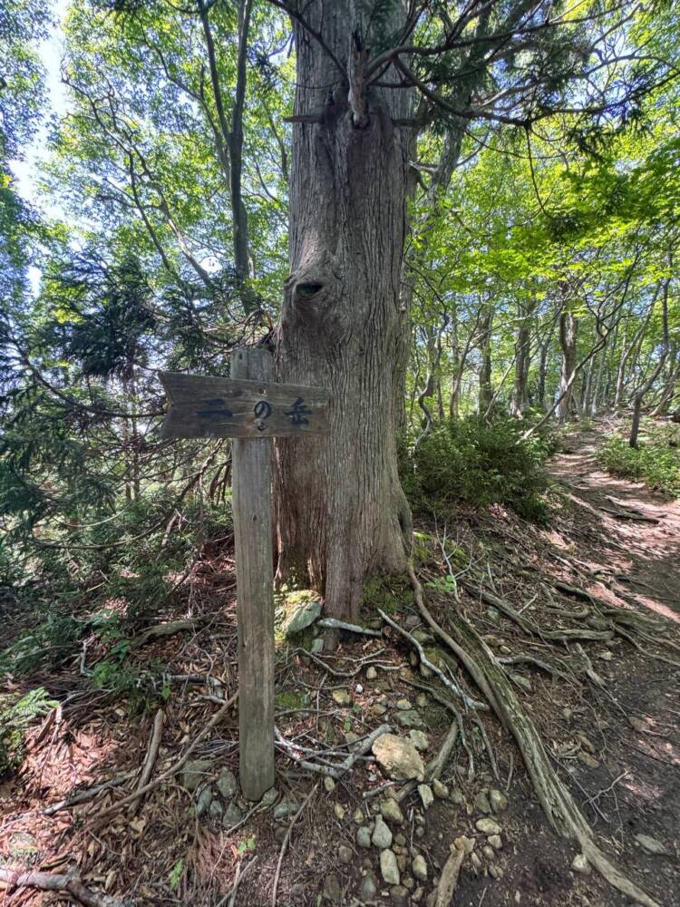 つるが富士とも呼ばれる古代より美しい山容の山『野坂岳』