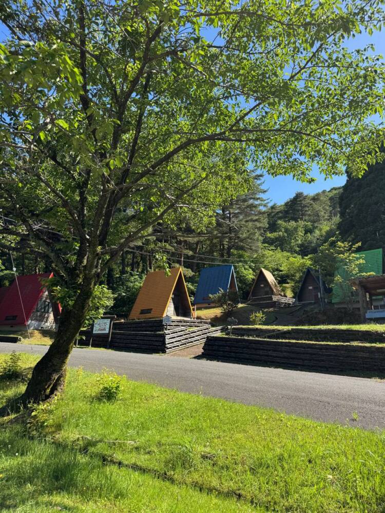 つるが富士とも呼ばれる古代より美しい山容の山『野坂岳』