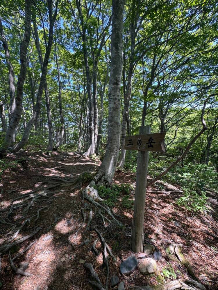 つるが富士とも呼ばれる古代より美しい山容の山『野坂岳』