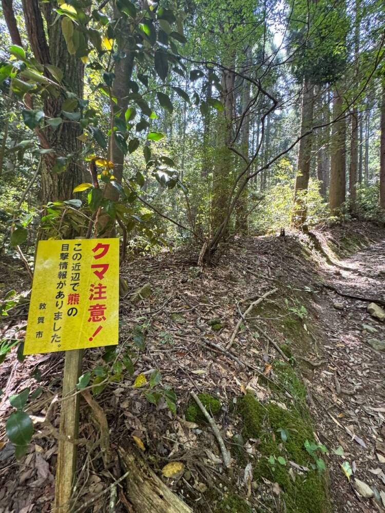 つるが富士とも呼ばれる古代より美しい山容の山『野坂岳』