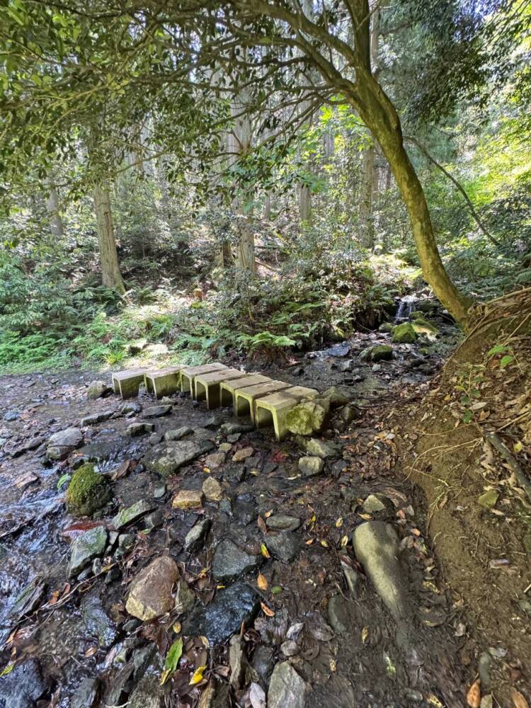 つるが富士とも呼ばれる古代より美しい山容の山『野坂岳』