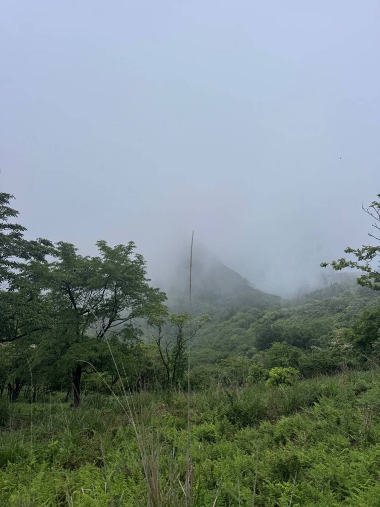 山頂からは360度の絶景が広がる円錐型の美しい山 『千ヶ峰』