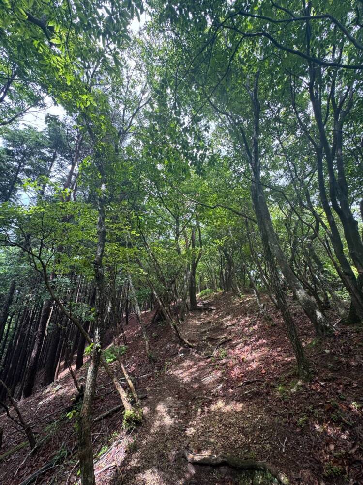 山頂からは360度の絶景が広がる円錐型の美しい山 『千ヶ峰』