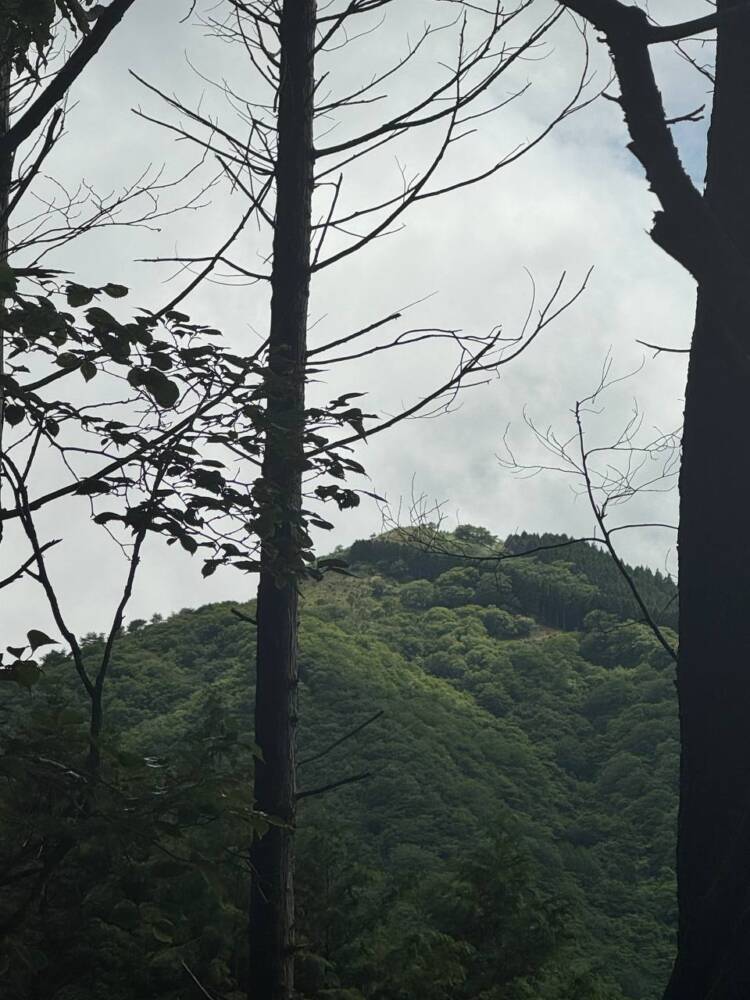 山頂からは360度の絶景が広がる円錐型の美しい山 『千ヶ峰』