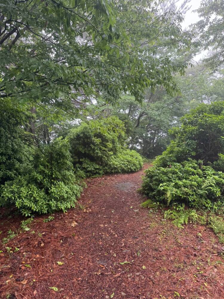 山頂からは360度の絶景が広がる円錐型の美しい山 『千ヶ峰』