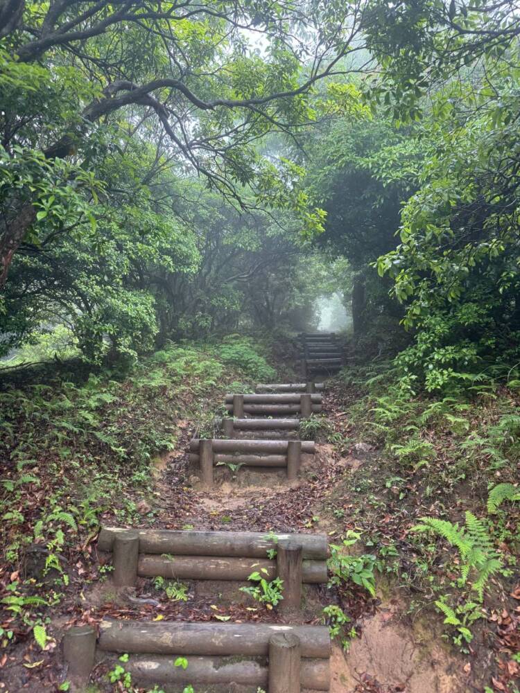山頂からは360度の絶景が広がる円錐型の美しい山 『千ヶ峰』