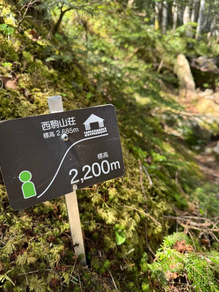 登るのは大変だが360度の絶景が広がる中央アルプスの山『将棊頭山』