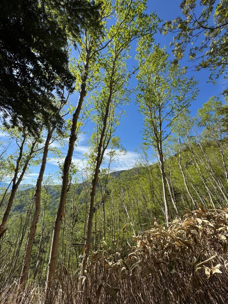登るのは大変だが360度の絶景が広がる中央アルプスの山『将棊頭山』