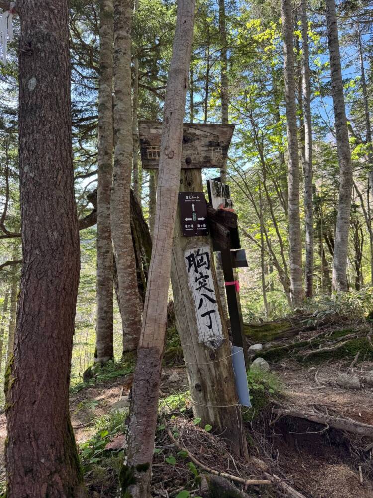 登るのは大変だが360度の絶景が広がる中央アルプスの山『将棊頭山』