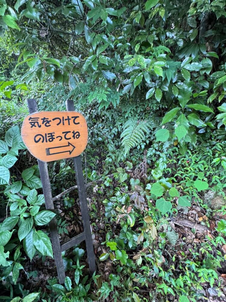岐阜県のグランドキャニオンが絶景すぎた『遠見山』