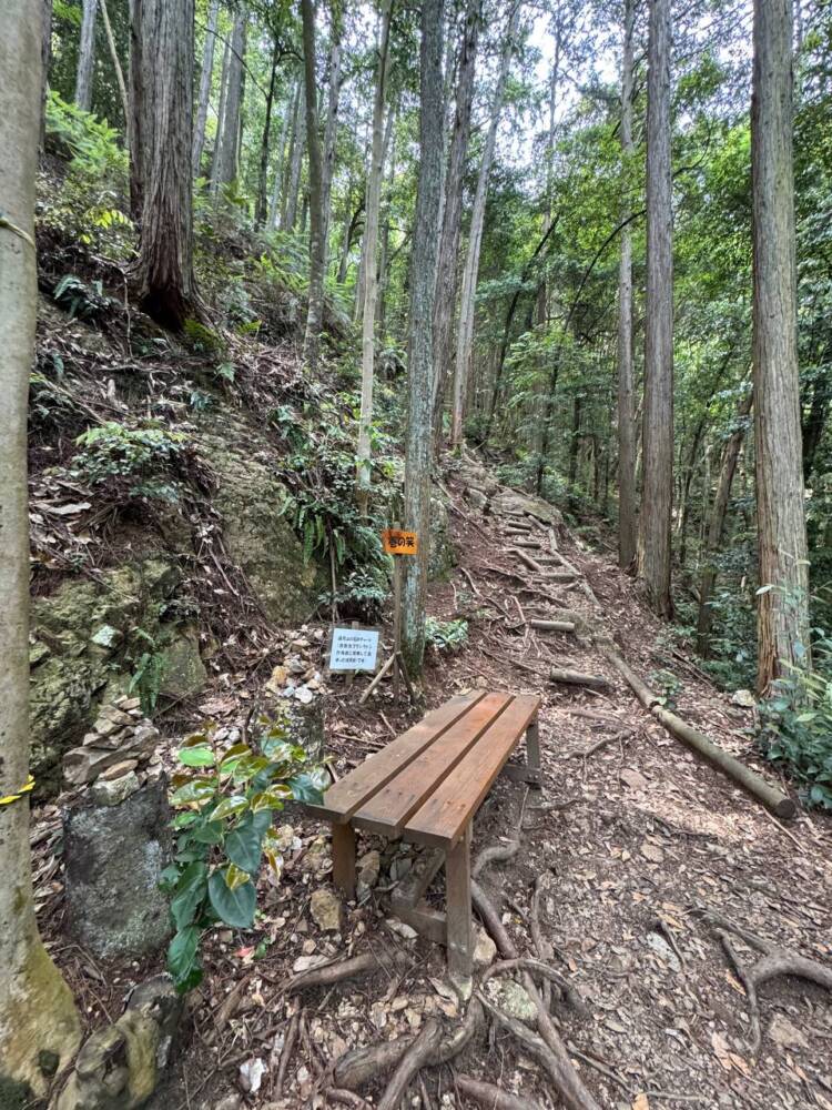 岐阜県のグランドキャニオンが絶景すぎた『遠見山』