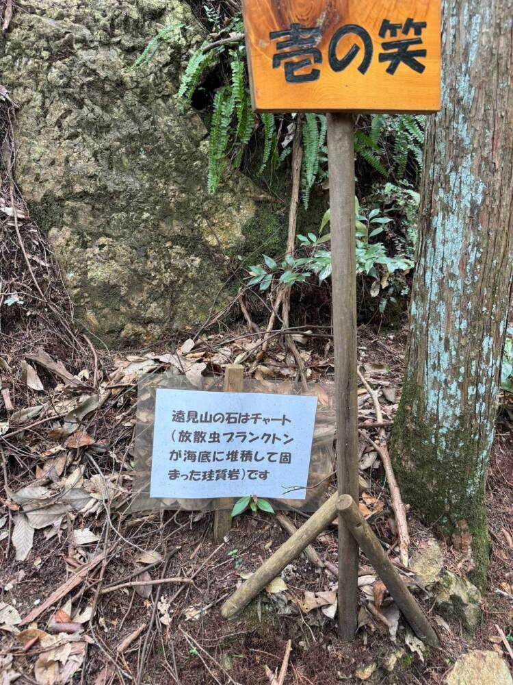 岐阜県のグランドキャニオンが絶景すぎた『遠見山』