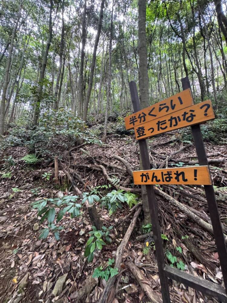岐阜県のグランドキャニオンが絶景すぎた『遠見山』
