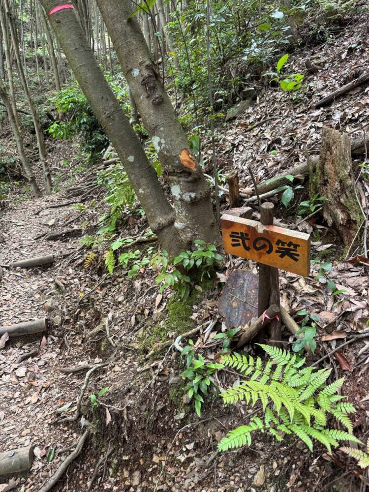 岐阜県のグランドキャニオンが絶景すぎた『遠見山』