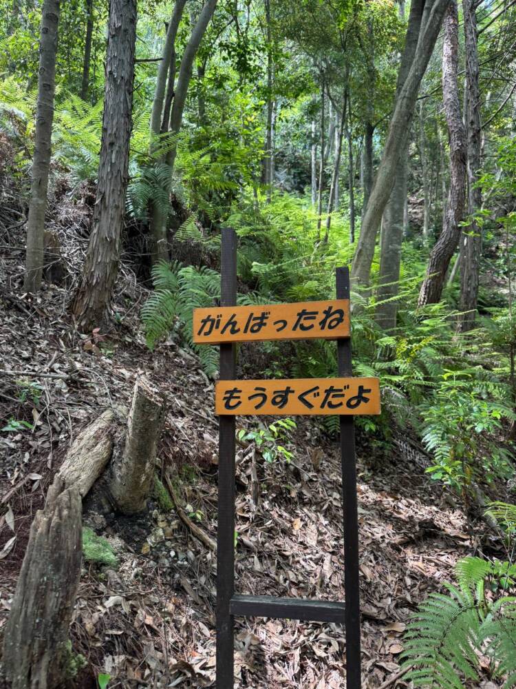 岐阜県のグランドキャニオンが絶景すぎた『遠見山』