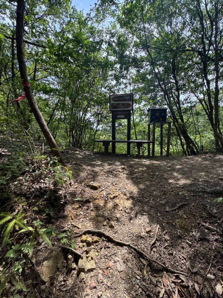 岐阜県のグランドキャニオンが絶景すぎた『遠見山』