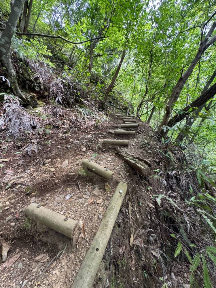 岐阜県のグランドキャニオンが絶景すぎた『遠見山』