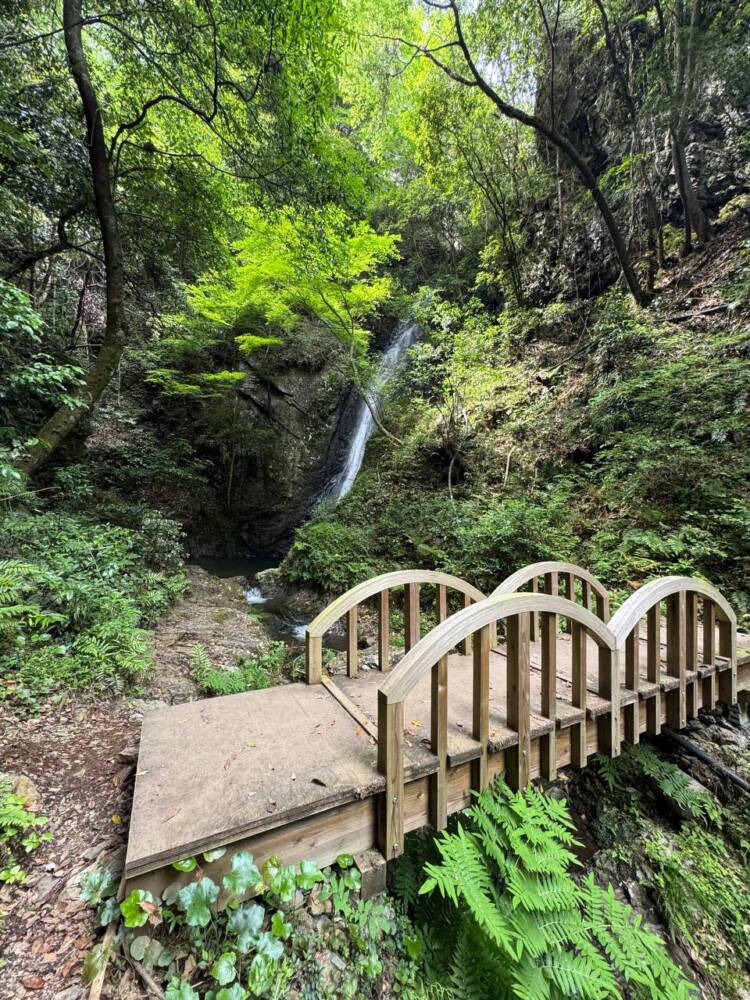 岐阜県のグランドキャニオンが絶景すぎた『遠見山』