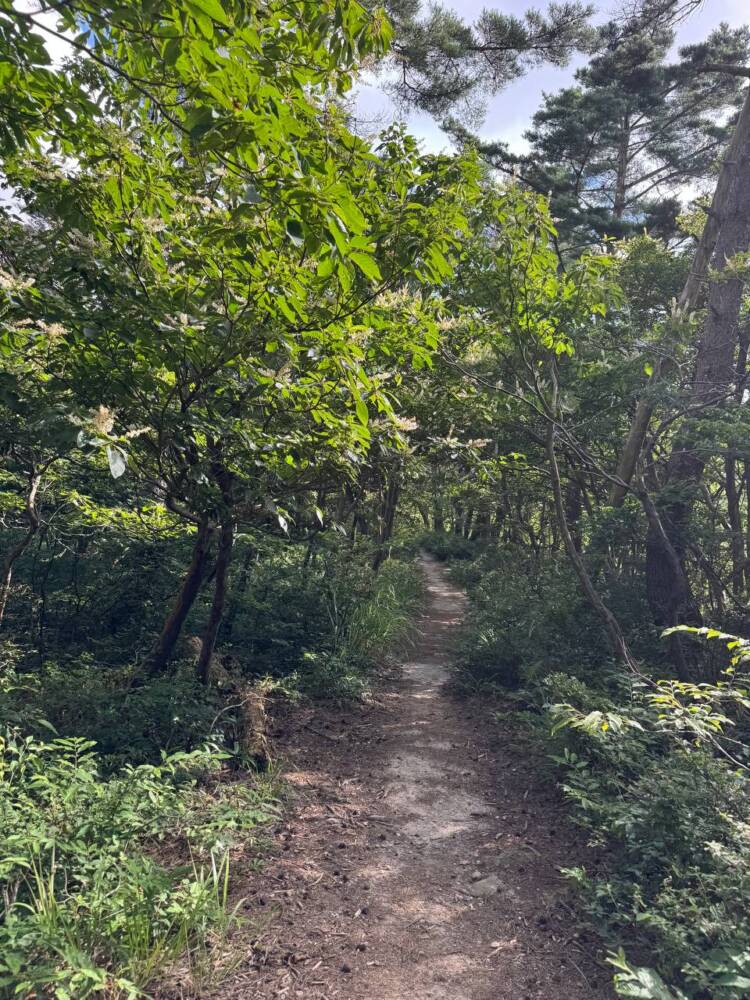琵琶湖も日本海も楽しめる絶景広がる山頂『赤坂山』