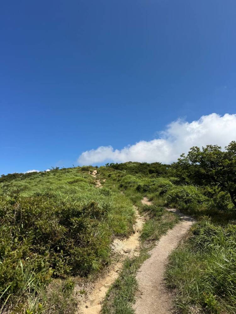 琵琶湖も日本海も楽しめる絶景広がる山頂『赤坂山』