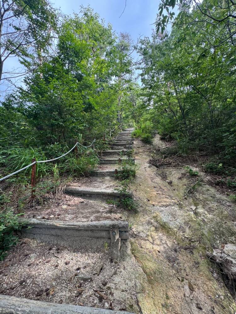 琵琶湖も日本海も楽しめる絶景広がる山頂『赤坂山』