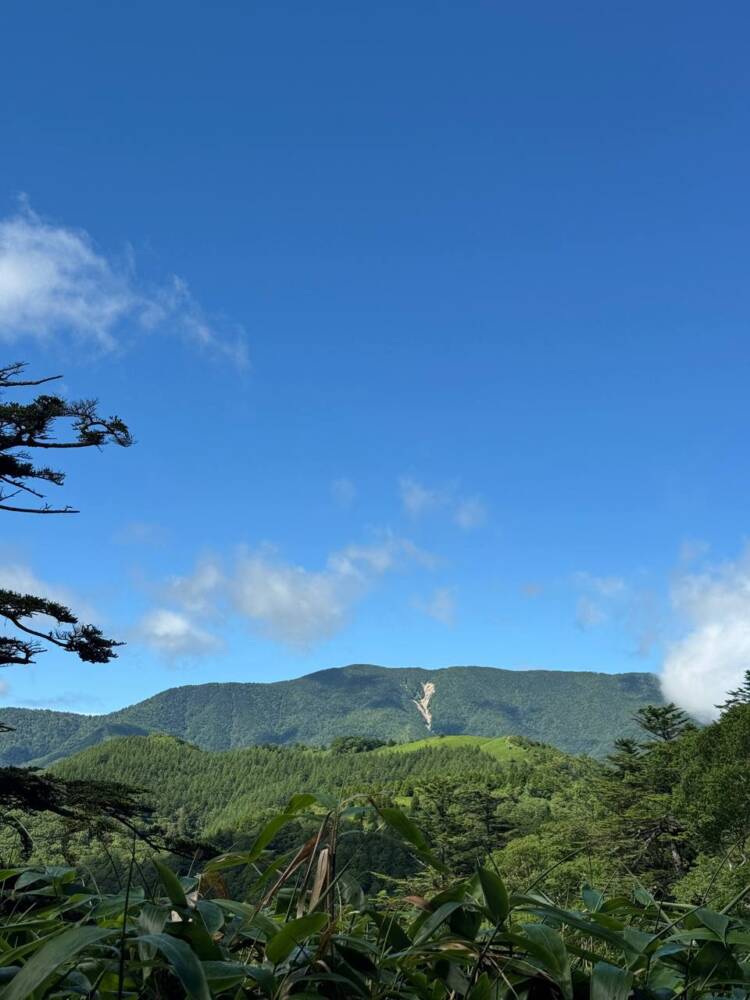 お手軽にアルプスの景色を楽しめる人気の山 『富士見台高原』