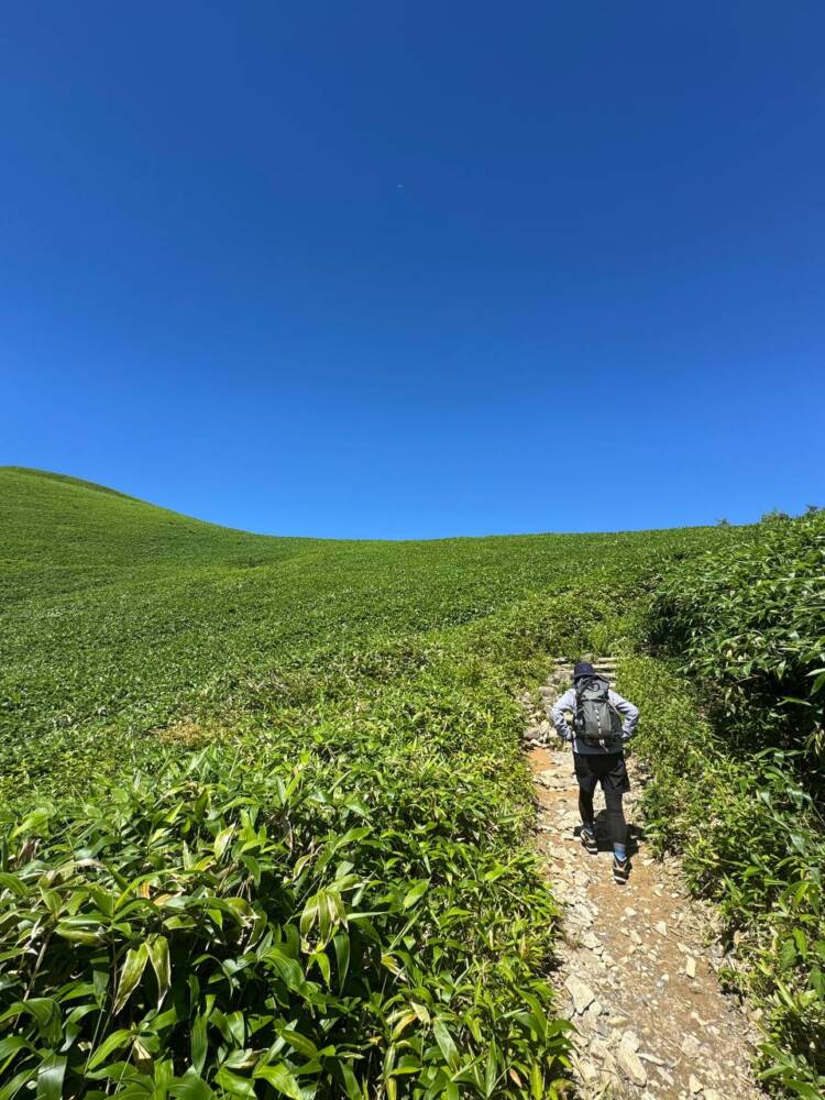 お手軽にアルプスの景色を楽しめる人気の山 『富士見台高原』