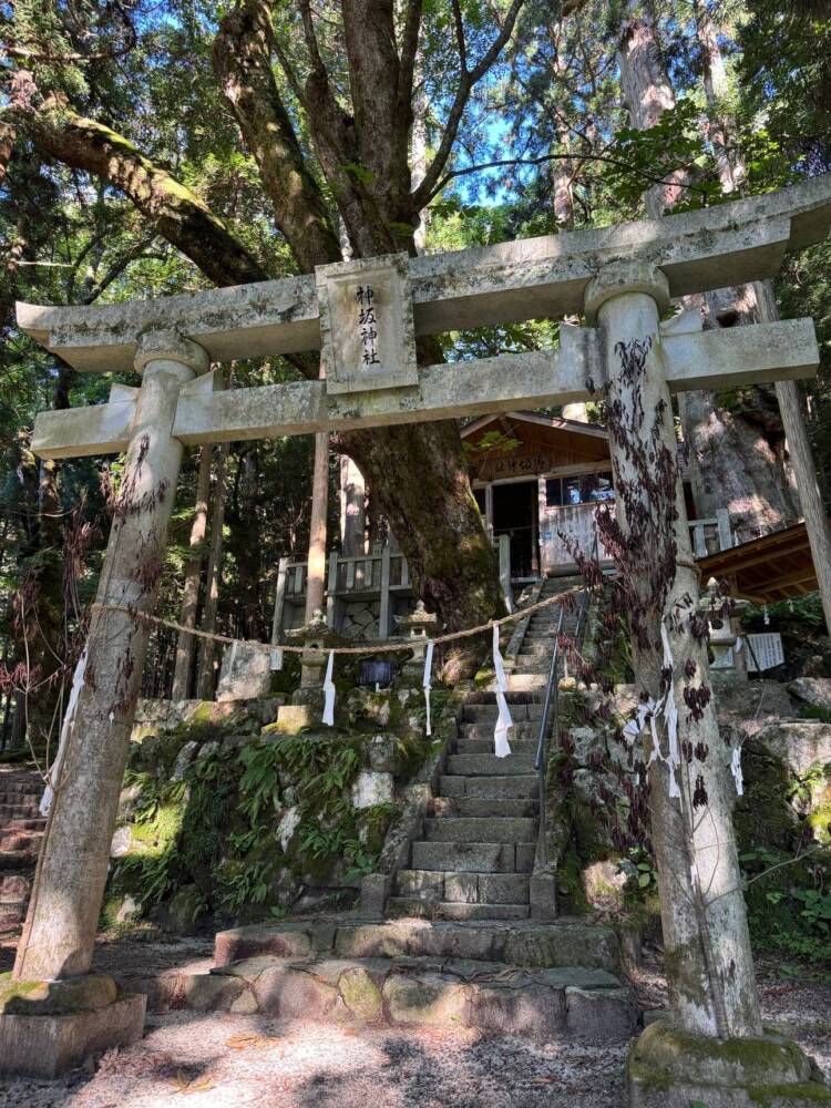 お手軽にアルプスの景色を楽しめる人気の山 『富士見台高原』
