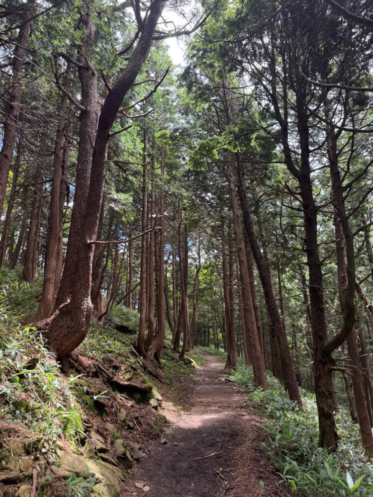 お手軽にアルプスの景色を楽しめる人気の山 『富士見台高原』