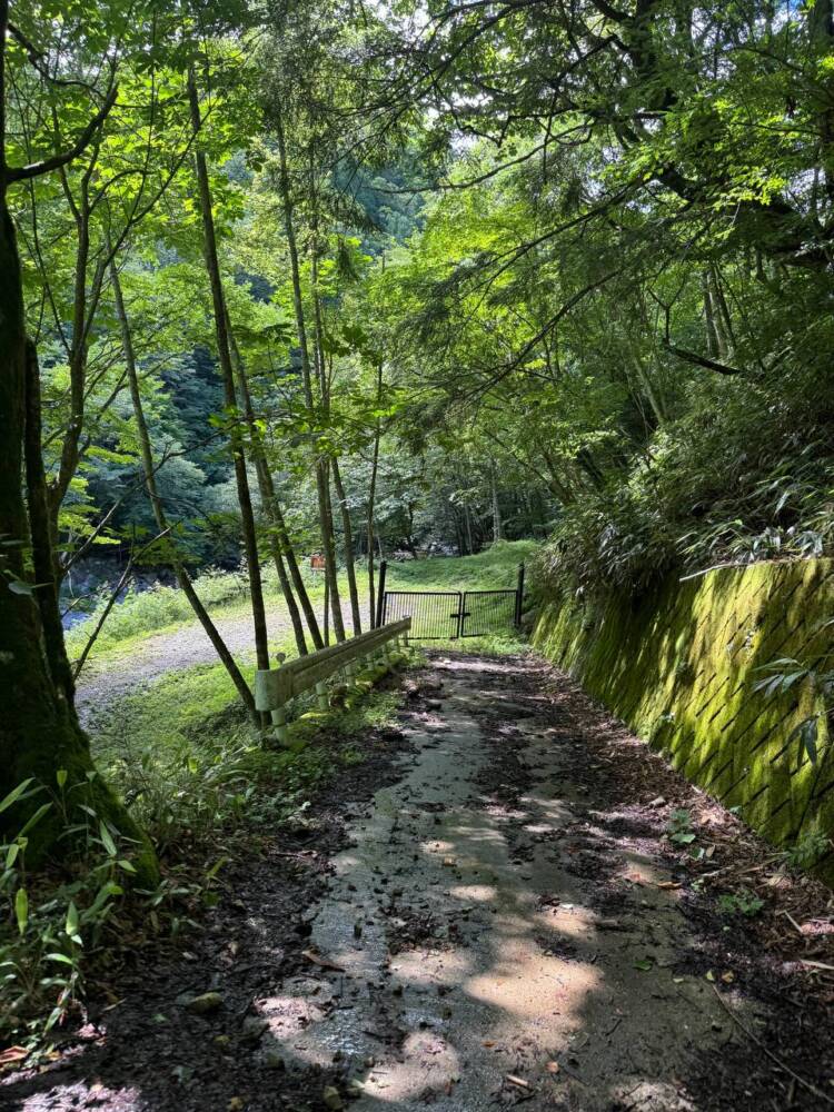 お手軽にアルプスの景色を楽しめる人気の山 『富士見台高原』