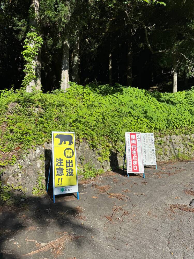 お手軽にアルプスの景色を楽しめる人気の山 『富士見台高原』