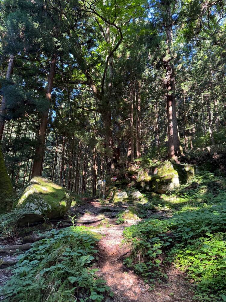 お手軽にアルプスの景色を楽しめる人気の山 『富士見台高原』