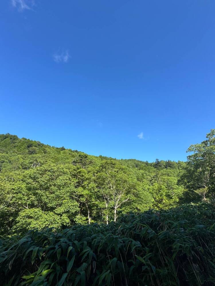 お手軽にアルプスの景色を楽しめる人気の山 『富士見台高原』
