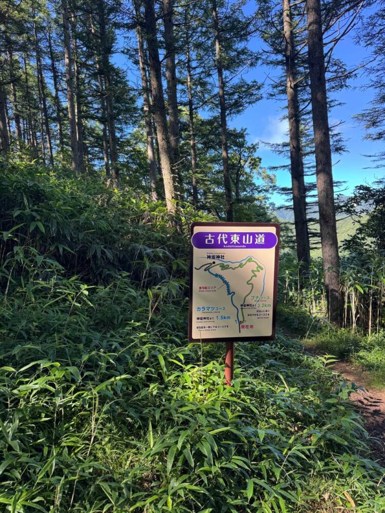 お手軽にアルプスの景色を楽しめる人気の山 『富士見台高原』