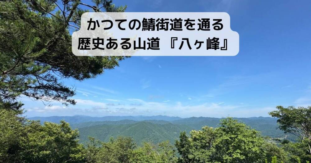 かつての鯖街道を通る歴史ある山道 『八ヶ峰』