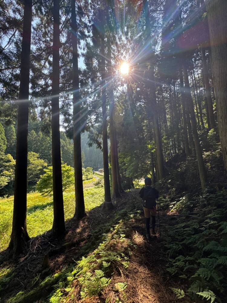 かつての鯖街道を通る歴史ある山道 『八ヶ峰』