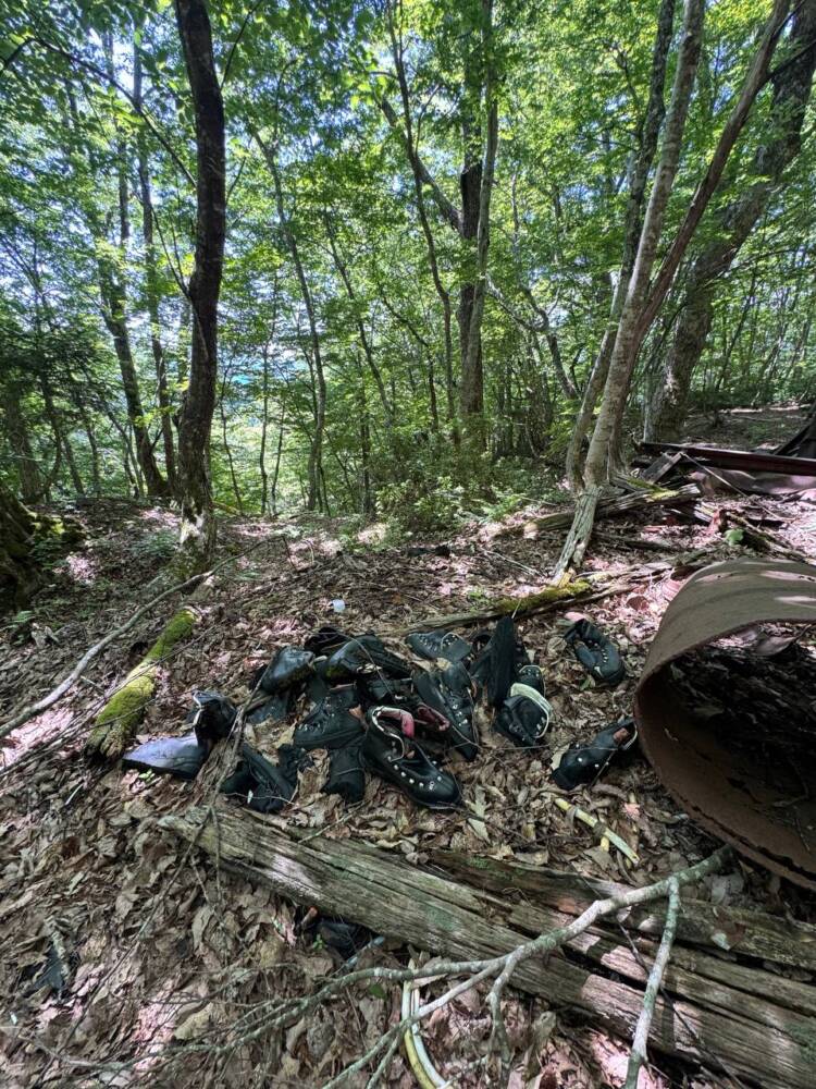 かつての鯖街道を通る歴史ある山道 『八ヶ峰』