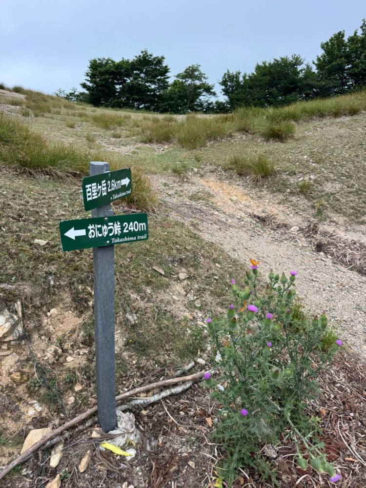 雄大すぎる景色を眺めながら鯖街道を通り登れる『百里ヶ岳』