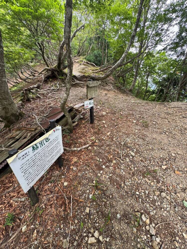 雄大すぎる景色を眺めながら鯖街道を通り登れる『百里ヶ岳』