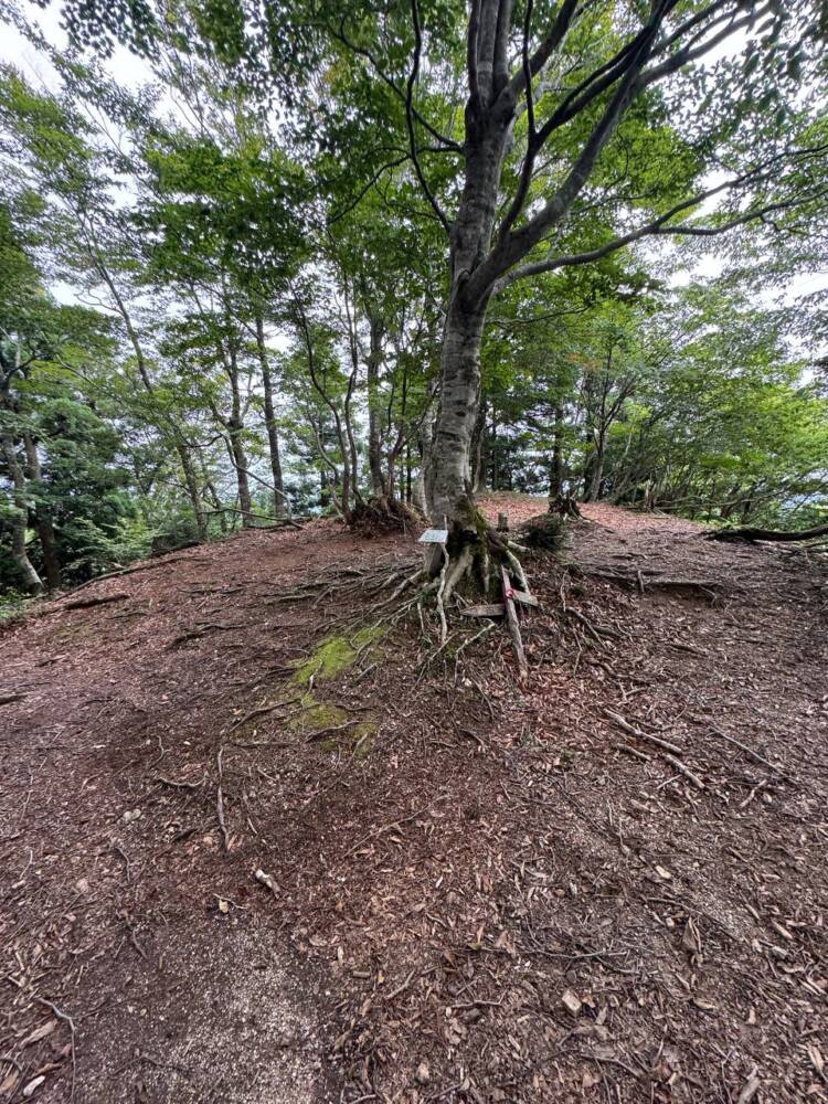 雄大すぎる景色を眺めながら鯖街道を通り登れる『百里ヶ岳』