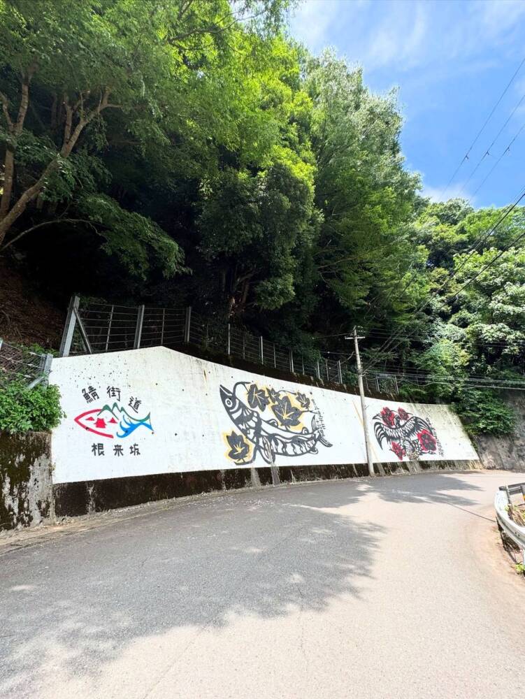 雄大すぎる景色を眺めながら鯖街道を通り登れる『百里ヶ岳』