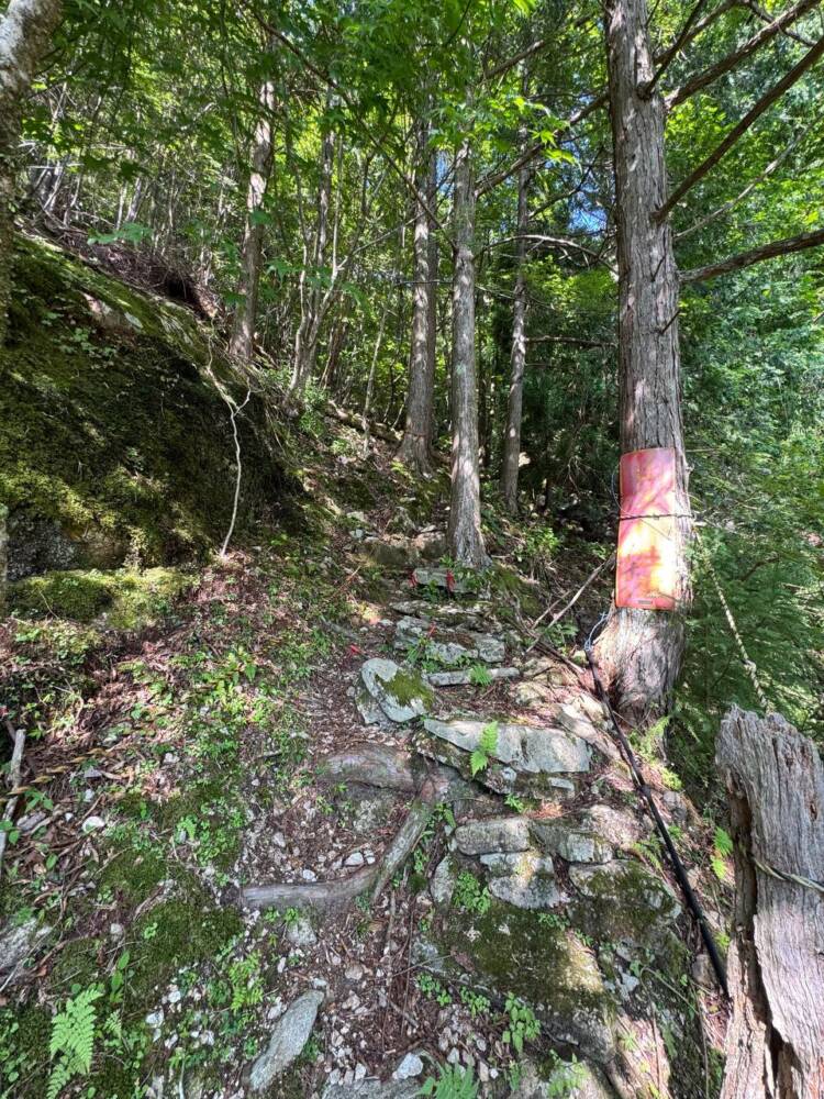 大峯山脈の山深い地にある数々の伝承が残る山 『笠捨山』
