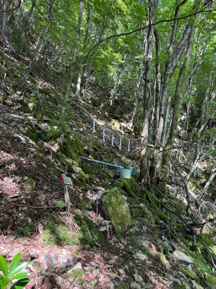 大峯山脈の山深い地にある数々の伝承が残る山 『笠捨山』