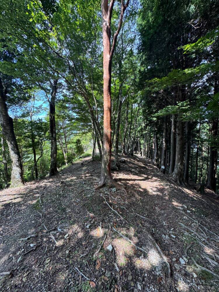 大峯山脈の山深い地にある数々の伝承が残る山 『笠捨山』