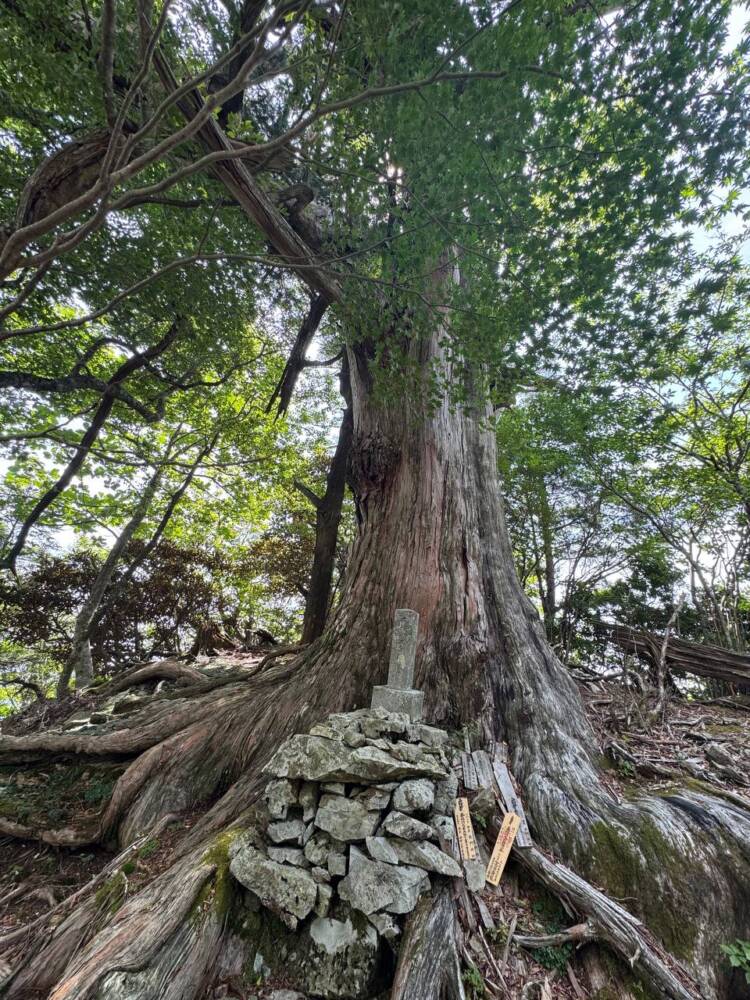 大峯山脈の山深い地にある数々の伝承が残る山 『笠捨山』